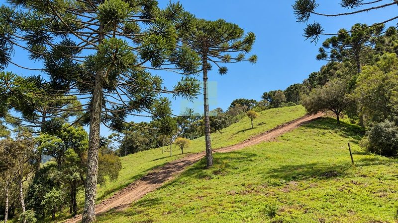 Área Rural com 5 Hectares à Venda | Cachoeira, Energia e Platôs para Construção: 2ª foto da galeria de imagens do imóvel