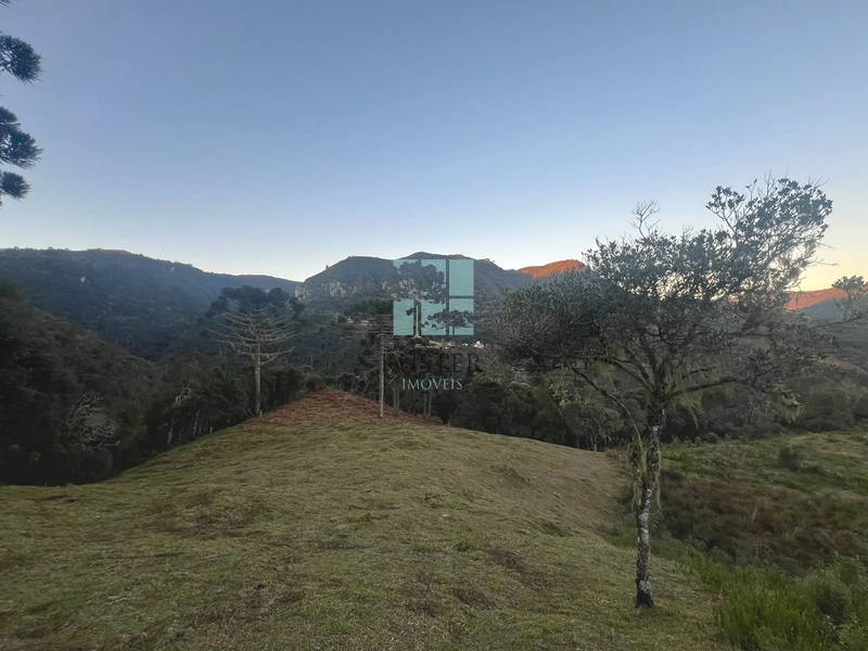 Área Rural com 5 Hectares à Venda | Cachoeira, Energia e Platôs para Construção: 9ª foto da galeria de imagens do imóvel