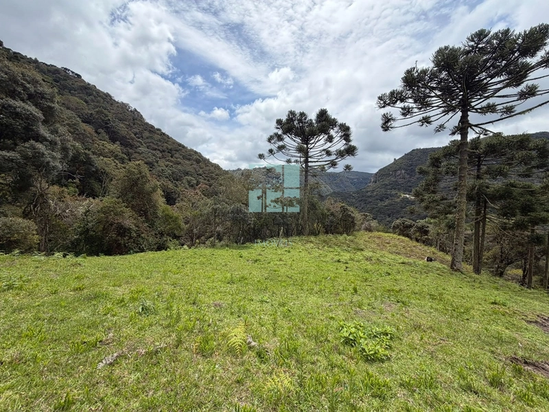 Área Rural com 5 Hectares à Venda | Cachoeira, Energia e Platôs para Construção: 8ª foto da galeria de imagens do imóvel