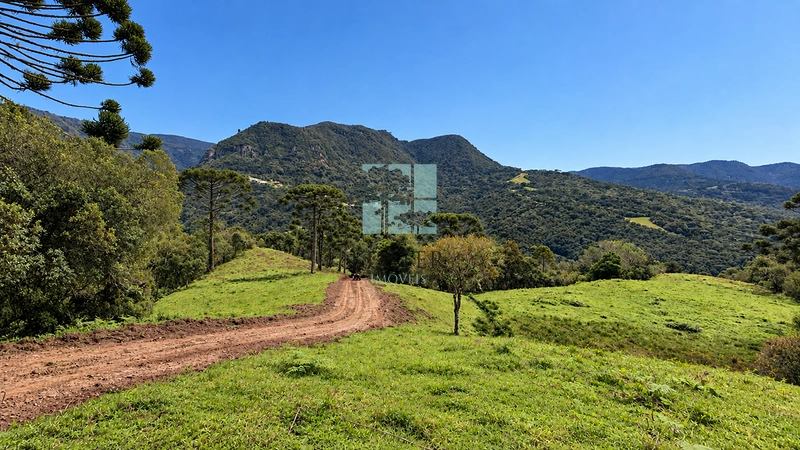 Área Rural com 5 Hectares à Venda | Cachoeira, Energia e Platôs para Construção: 3ª foto da galeria de imagens do imóvel