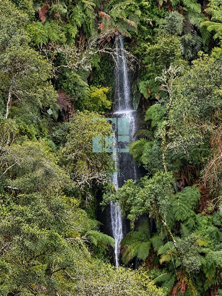 Área Rural com 5 Hectares à Venda | Cachoeira, Energia e Platôs para Construção: 1ª foto da galeria de imagens do imóvel