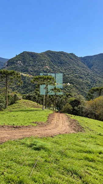Área Rural com 5 Hectares à Venda | Cachoeira, Energia e Platôs para Construção: 5ª foto da galeria de imagens do imóvel