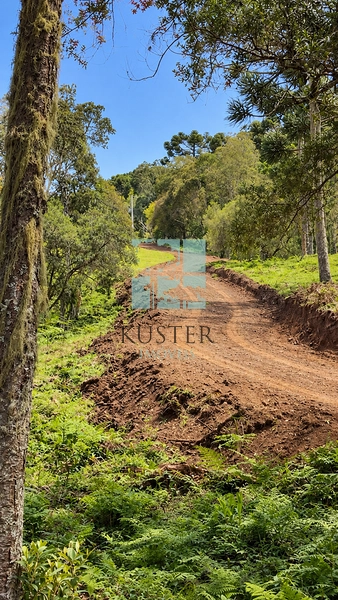 Área Rural com 5 Hectares à Venda | Cachoeira, Energia e Platôs para Construção: 4ª foto da galeria de imagens do imóvel