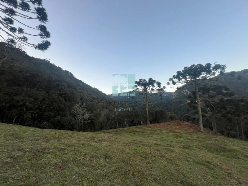 Área Rural com 5 Hectares à Venda | Cachoeira, Energia e Platôs para Construção: 10ª foto da galeria de imagens do imóvel
