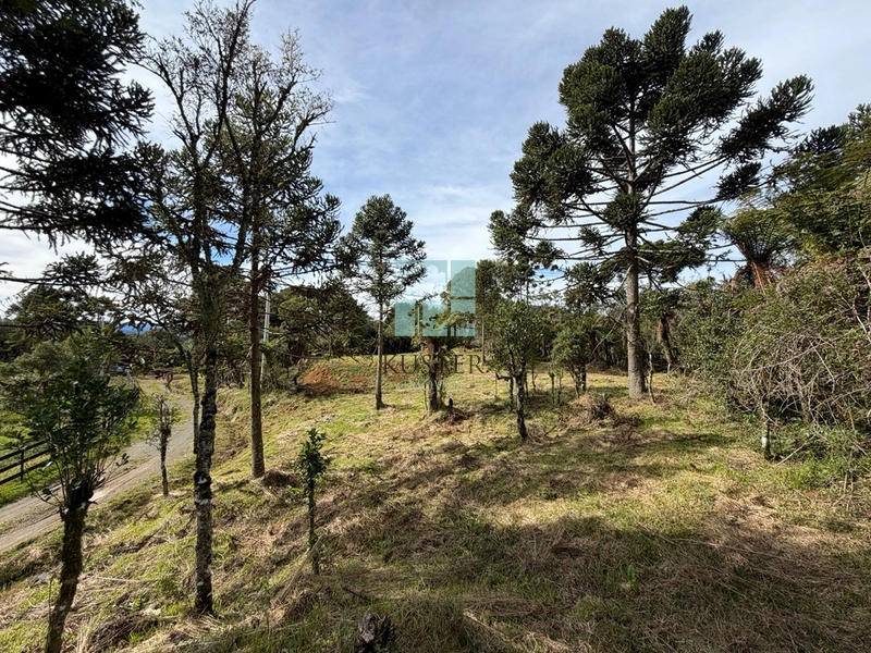Terreno Urubici: 2ª foto da galeria de imagens do imóvel