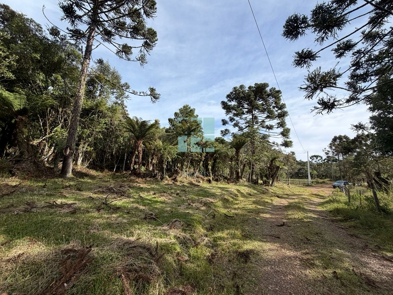 Terreno Urubici: 13ª foto da galeria de imagens do imóvel