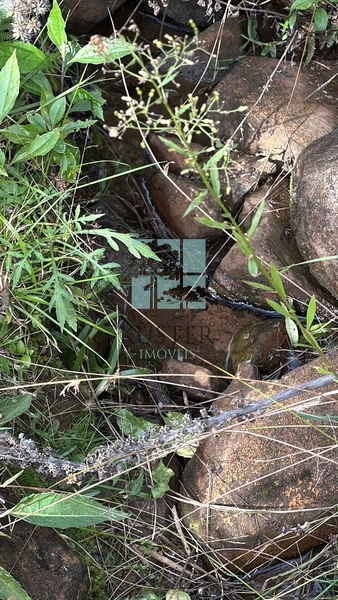 Terreno Urubici: 6ª foto da galeria de imagens do imóvel