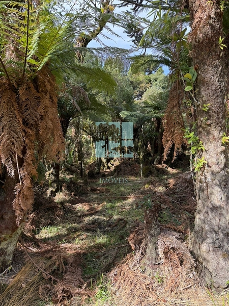 Terreno Urubici: 5ª foto da galeria de imagens do imóvel