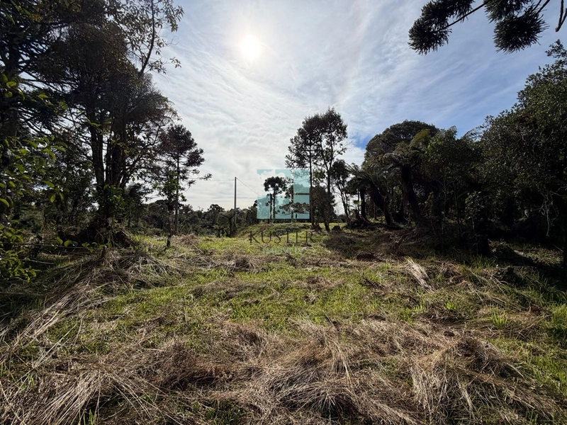 Terreno Urubici: 17ª foto da galeria de imagens do imóvel