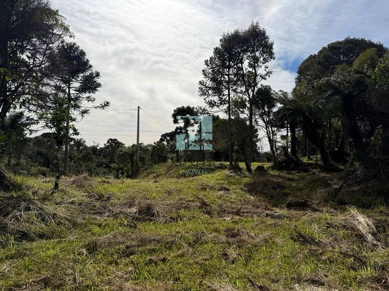 Terreno Urubici: 9ª foto da galeria de imagens do imóvel