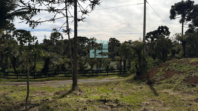 Terreno Urubici: 8ª foto da galeria de imagens do imóvel