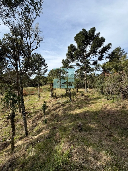 Terreno Urubici: 10ª foto da galeria de imagens do imóvel