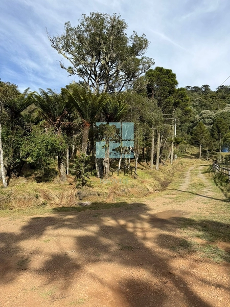 Terreno Urubici: 11ª foto da galeria de imagens do imóvel