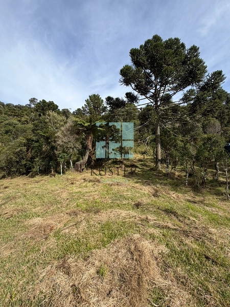 Terreno Urubici: 7ª foto da galeria de imagens do imóvel