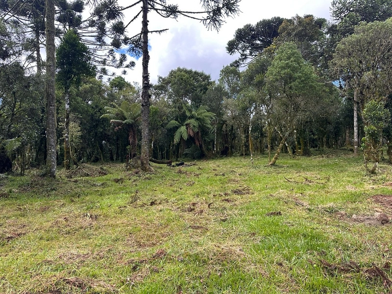 Lindo terreno com lago: 18ª foto da galeria de imagens do imóvel
