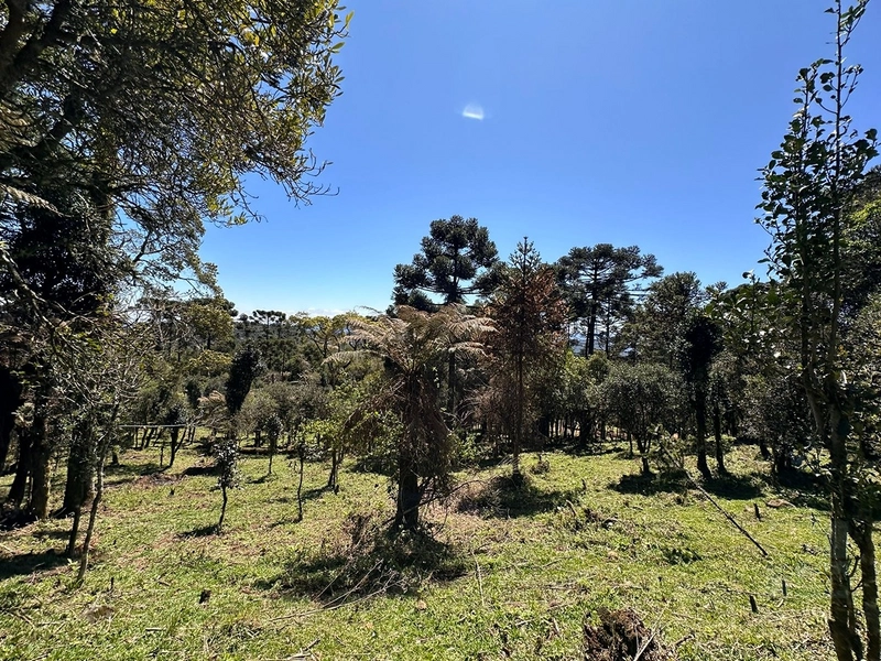 Lindo terreno com lago: 21ª foto da galeria de imagens do imóvel