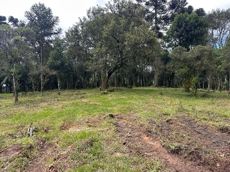 Lindo terreno com lago: 11ª foto da galeria de imagens do imóvel