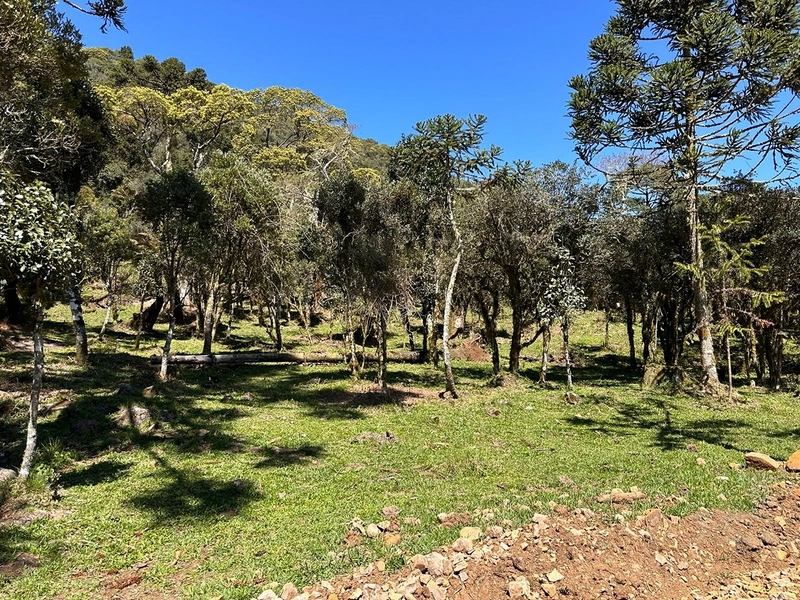 Lindo terreno com lago: 10ª foto da galeria de imagens do imóvel