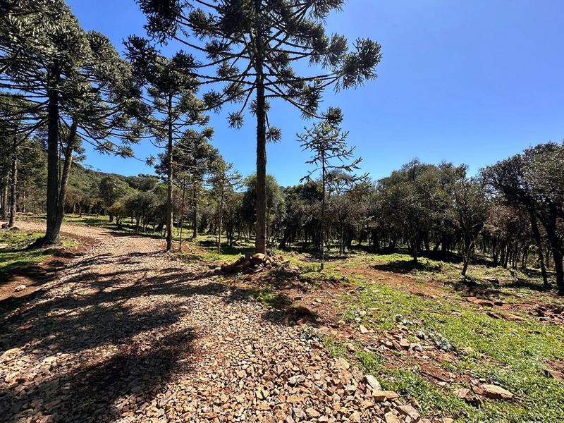 Lindo terreno com lago: 2ª foto da galeria de imagens do imóvel