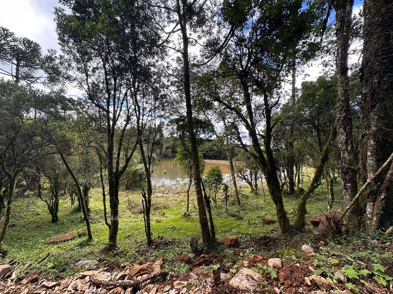 Lindo terreno com lago: 3ª foto da galeria de imagens do imóvel