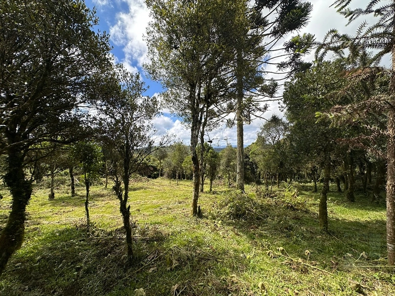 Lindo terreno com lago: 4ª foto da galeria de imagens do imóvel