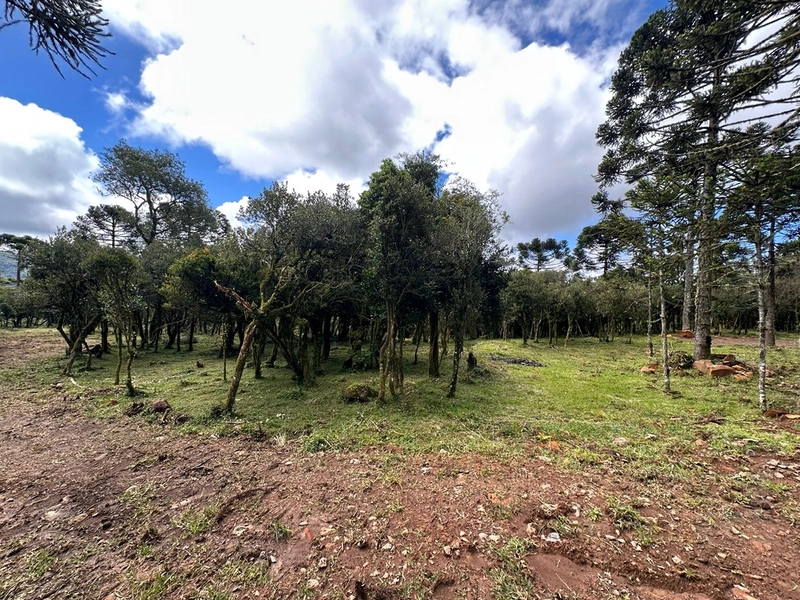 Lindo terreno com lago: 22ª foto da galeria de imagens do imóvel