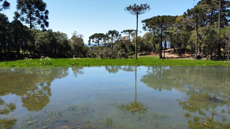 Lindo terreno com lago: 23ª foto da galeria de imagens do imóvel