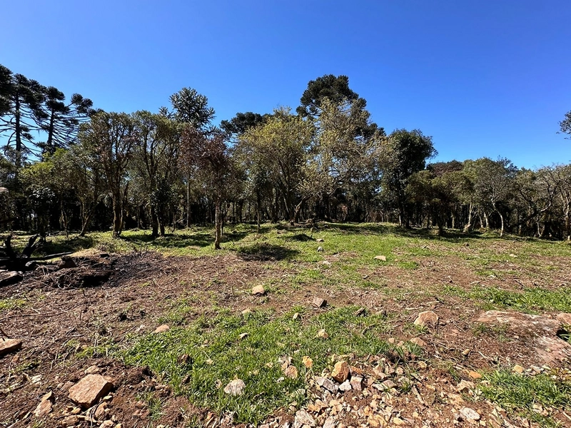 Lindo terreno com lago: 8ª foto da galeria de imagens do imóvel