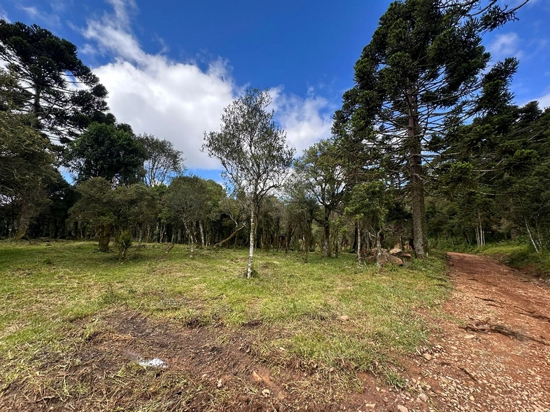 Lindo terreno com lago: 15ª foto da galeria de imagens do imóvel