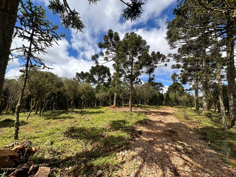 Lindo terreno com lago: 1ª foto da galeria de imagens do imóvel