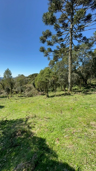 Lindo terreno com lago: 14ª foto da galeria de imagens do imóvel