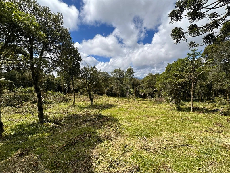 Lindo terreno com lago: 13ª foto da galeria de imagens do imóvel
