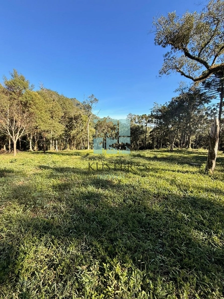 Terreno com Riacho: 2ª foto da galeria de imagens do imóvel
