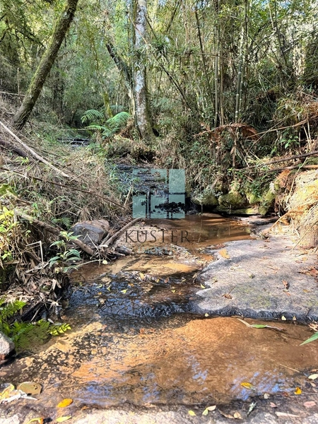 Terreno com Riacho: 3ª foto da galeria de imagens do imóvel