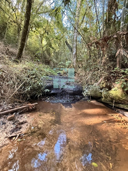 Terreno com Riacho: 12ª foto da galeria de imagens do imóvel