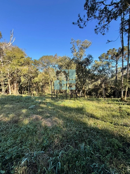 Terreno com Riacho: 6ª foto da galeria de imagens do imóvel