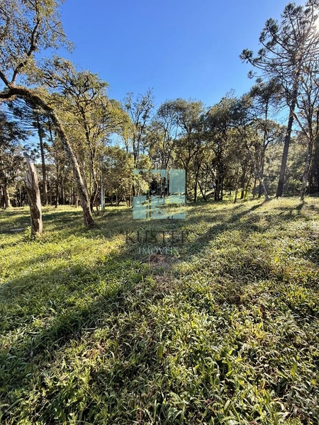 Terreno com Riacho: 14ª foto da galeria de imagens do imóvel