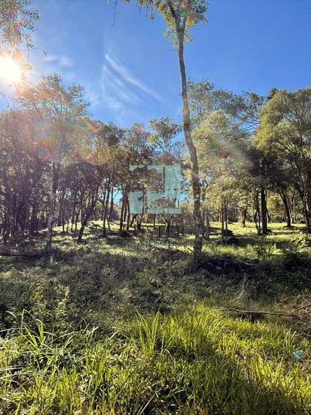 Terreno com Riacho: 10ª foto da galeria de imagens do imóvel
