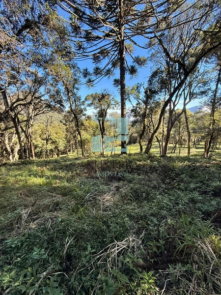 Terreno com Riacho: 13ª foto da galeria de imagens do imóvel