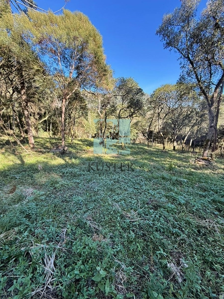 Terreno com Riacho: 5ª foto da galeria de imagens do imóvel