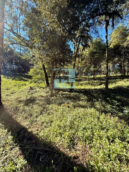 Terreno com Riacho: 9ª foto da galeria de imagens do imóvel