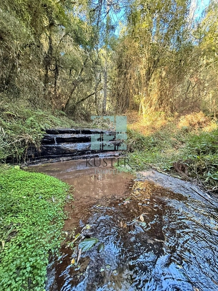 Terreno com Riacho: 1ª foto da galeria de imagens do imóvel