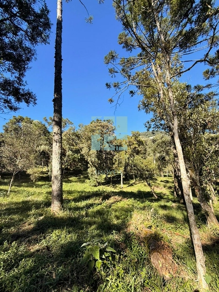 Terreno com Riacho: 4ª foto da galeria de imagens do imóvel