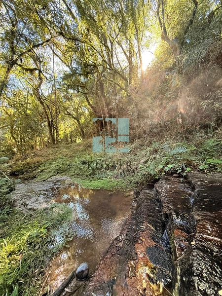 Terreno com Riacho: 11ª foto da galeria de imagens do imóvel