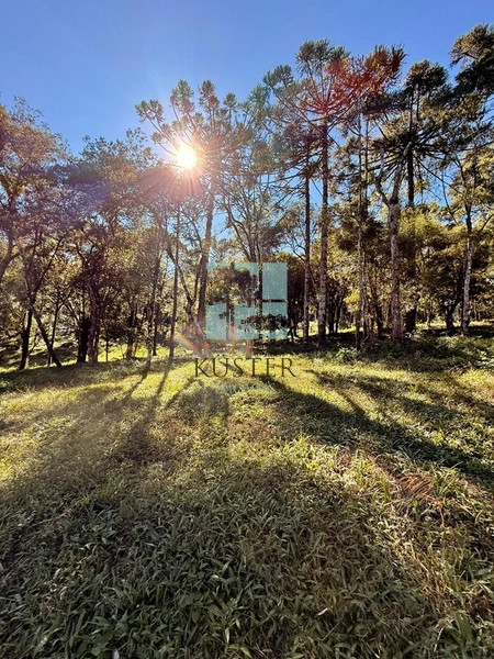 Terreno com Riacho: 7ª foto da galeria de imagens do imóvel