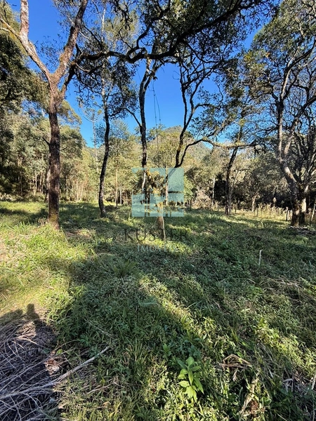 Terreno com Riacho: 8ª foto da galeria de imagens do imóvel