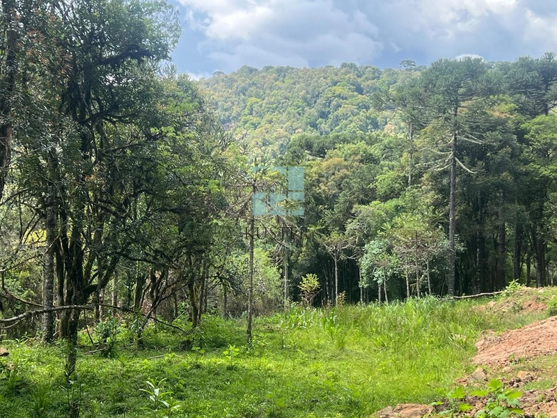 null: 7ª foto da galeria de imagens do imóvel