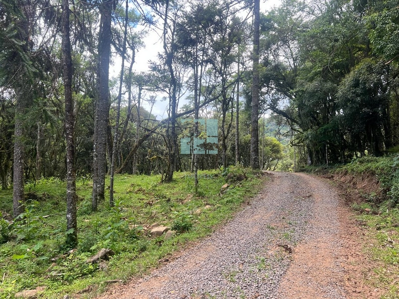 null: 3ª foto da galeria de imagens do imóvel