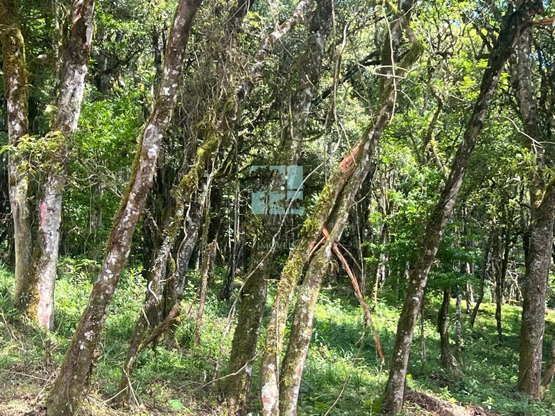 null: 2ª foto da galeria de imagens do imóvel