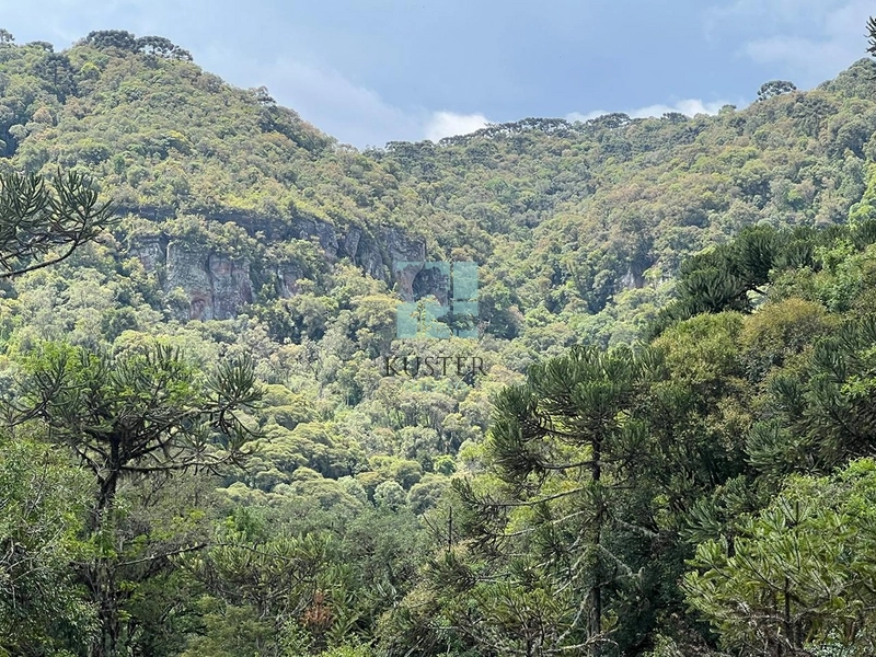 null: 4ª foto da galeria de imagens do imóvel